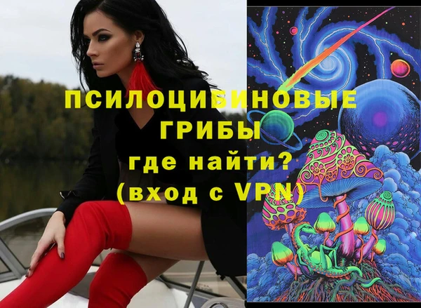 ПСИЛОЦИБИНОВЫЕ ГРИБЫ Елабуга